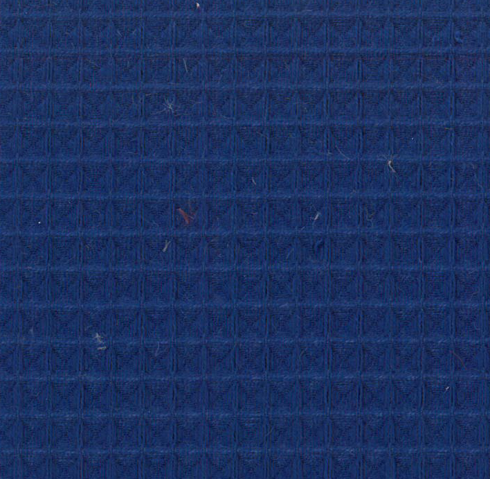 berta 100 bleu